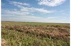 Property photo 80 - LAND AUCTION, 3255+/- Acres offered in 13 Tracts